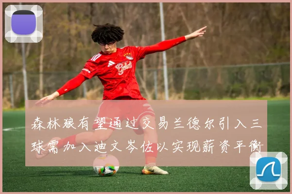 森林狼有望通过交易兰德尔引入三球需加入迪文岑佐以实现薪资平衡